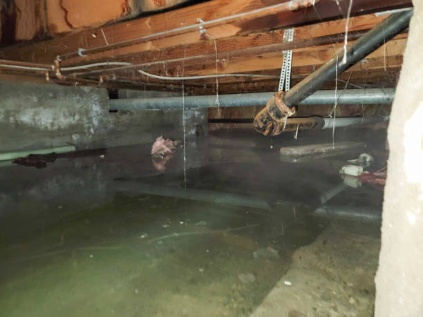  Forest Park, IL Water damage restoration Pros
