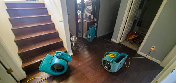Best Water damage contractors near me  in Forest Park, IL
