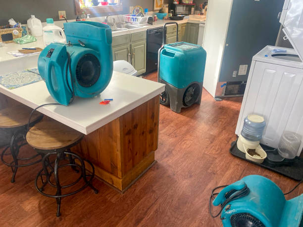 Best Water damage restoration process  in Forest Park, IL