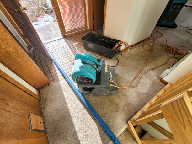 Best 24/7 water damage repair  in Forest Park, IL