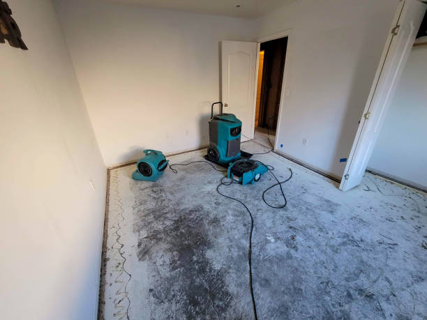 Best Water damage restoration near me  in Forest Park, IL