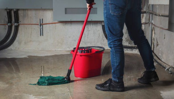Best Residential water damage restoration  in Forest Park, IL