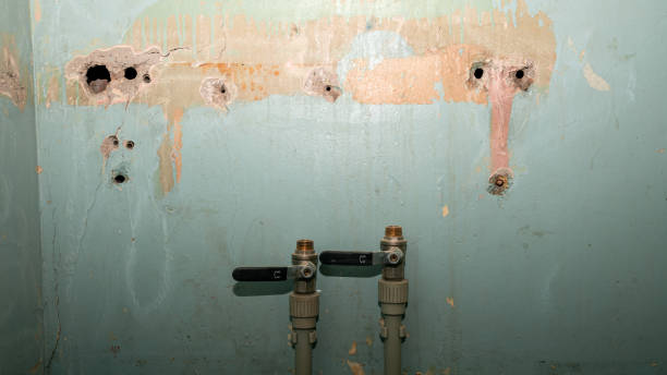 Best Flooded house restoration  in Forest Park, IL