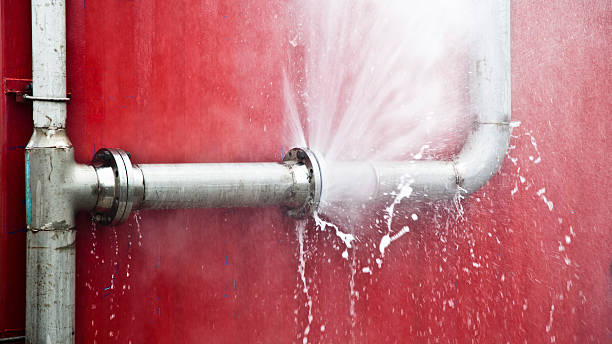 Best Water damage cleanup near me  in Forest Park, IL